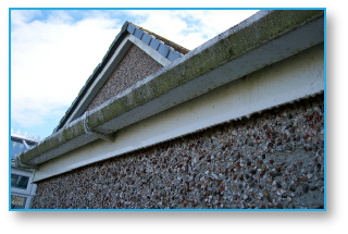 Gutter Before